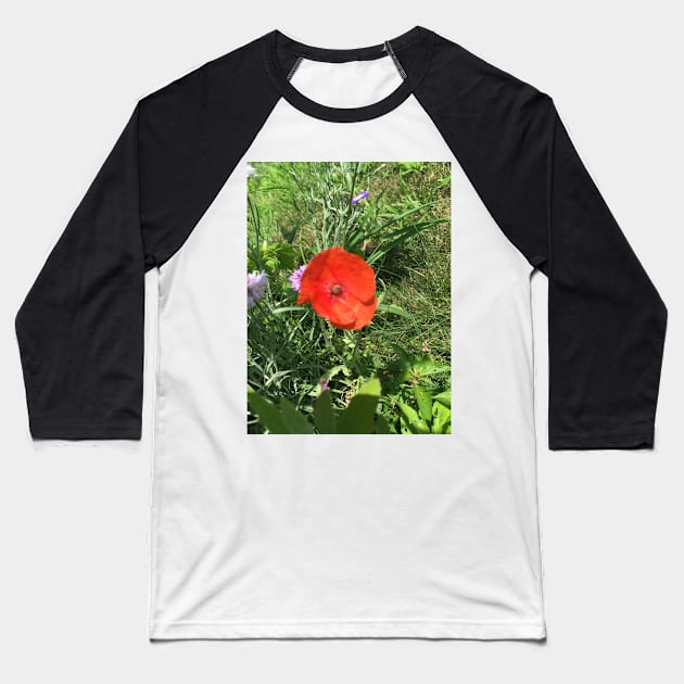 Little Red Poppy Baseball T-Shirt by Amanda1775